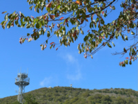 雨のち曇のち晴